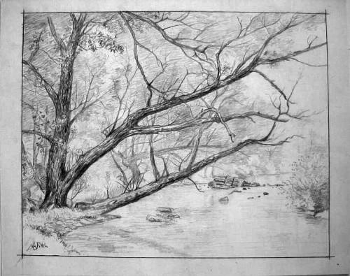 Forest Scene by John Lee Fitch